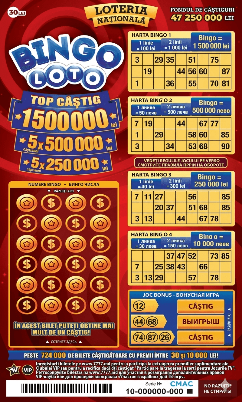Bingo Loto
